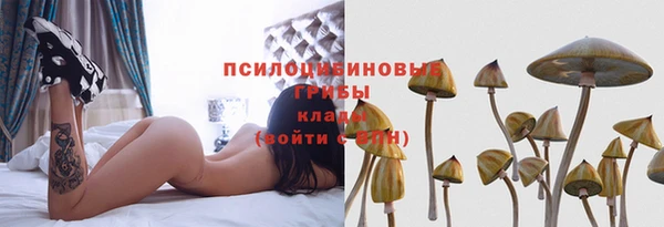 дживик Армянск