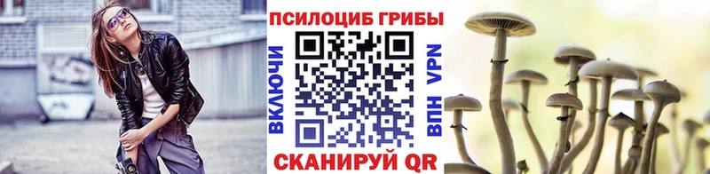 Купить где  Звенигород  Псилоцибиновые грибы MAGIC MUSHROOMS 